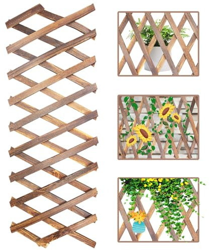 LANZLC Clôture Extensible, 200 x 30cm Panneaux De Treillis, Clôture à Treillis de Jardin, Treillis Extensibles pour Plantes Grimpantes, Support Extensible pour Plantes Grimpantes en Pin