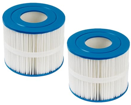 YanBan 2er-Pack Spa-Filter kompatibel mit Pleatco PBF40M, für Bull Frog Wellspring 30 Coreless 10-00282 SD-01389, Whirlpool-Filterkartusche für Modelle 2018–2024, 8 x 6, 30 Quadratfuß Filterfläche