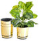 KORAD Ensemble de 4 Pots avec Soucoupe d'un diamètre de 18 cm, Motif 011 - Or Brillant ; Glamour ; Moderne, Haute Brillance, Style Classique, Rustique, loft, pour Plantes, Herbes.