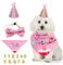 NITAIUN 4 Stücke Hund Geburtstag Bandana Set, Hund Geburtstag Partyhut Halstuch Krawatten Hunde Zubehör Set Haustier Geburtstagsset mit Headwear Kostüm für Katzen Hunde (Rosa)