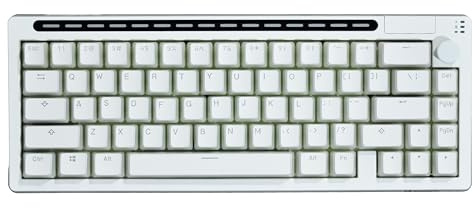 Virtdream R66 65% activado por voz RGB triple modo (2.4 GHz/Bluetooth 5.0/cable), teclado mecánico de control de perilla, teclas PBT (blanco glacial, interruptor táctil)