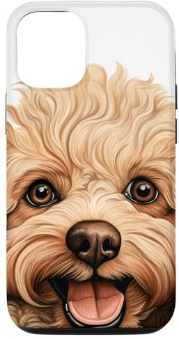 Hülle für iPhone 14 Hundewelpe schaut - Toy Poodle