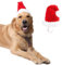 ANIAC Verstellbare 3D-Weihnachtsmütze für mittelgroße bis große Hunde, Weihnachtsmann-Kostüm