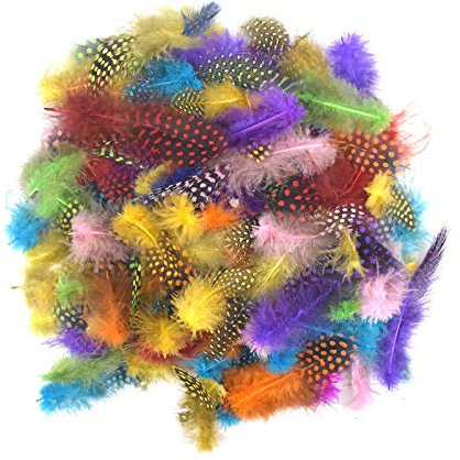Ehuihuan 100 Stück Farbe Federn zum Basteln, Natürliche Fasanenfedern Federn, Verblasst Nicht Feder für Traumfänger, Maske, Dekoration