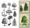 GOMAKERER 1 Sheet Clear Stamp, Woods Trees Background Transparent Rubber Stamps Reusable Silicone Clear Stamp Seals for Card Making Decoration DIY Scrapbooking Album Decor Craft