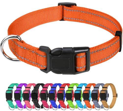 TagME Nylon Hundehalsband, Verstellbares Reflektierendes Hundehalsband mit Sicherheitsschnalle für Kleiner Hund, Orange, 2.0cm Breite