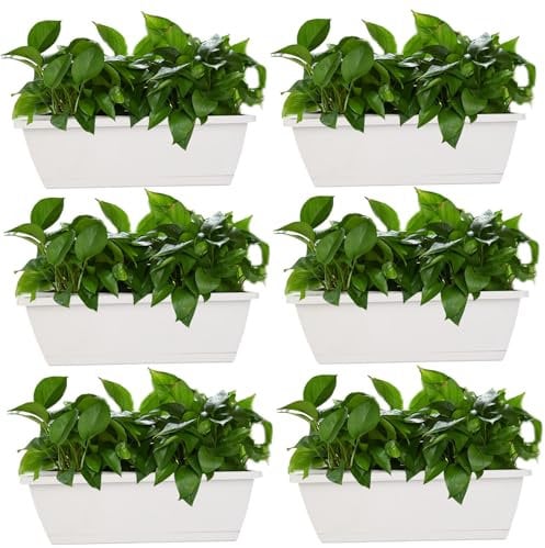 Pflanzgefäßbox, Pflanzgefäße 6PCS belüftete Fenster Pflanzer mit Entwässerung PP Rechteck Pflanzer mit Tablett 16.9x7.1x6.3in Blumengemüse Pflanzer für Balkon Fensterbrille, hellgrau, Rechteck pla