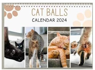 DFEPPJHG Kalender 2024 Cat's Bottoms Cat's Bottoms Kalender Weihnachten Neujahr Home Kalender Dekoration