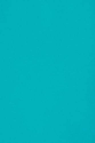 Netuno 10 x Tonkarton DIN A3 297x 420 mm Blau 250g Burano Azzurro Reale Bastelkarton einfarbig Fotokarton A3 bunt durchgefärbt Feinpapier DIY Bogen Kreativ-Karton farbig buntes Tonpapier