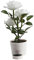 UKCOCO Blumen-solarleuchten Im Freien Rose Led-licht Dekorative Rose Led-lampe Led-schreibtischlampen Dekorative Solarlampe Rosafarbene Nachtlampe Geschenk Weiß Künstlich Gelbe Rose