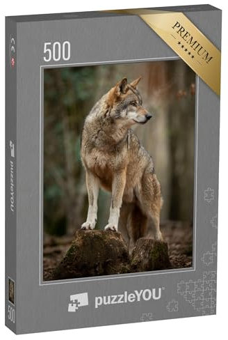 puzzleYOU: Puzzle 500 Teile „Grauer Wolf in witternder Pose im Wald“ – aus der Puzzle-Kollektion Wölfe, Raubtiere, Tiere des Nordens, Tiere in Wald & Gebirge, Exotische Tiere & Trend-Tiere