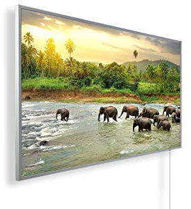 IH Engineering BV Bild Infrarotheizung mit Digitalthermostat - Made in Germany, Elektroheizung TÜV GS, 5 Jahre Garantie(600Fluss m. El.