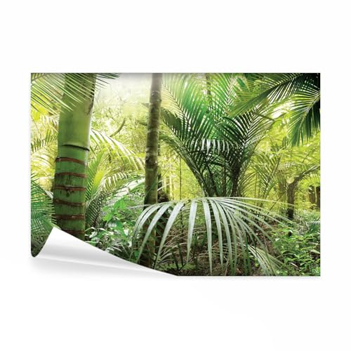 decomonkey Papier Peint Panoramique Nature 250x175 cm Décoration murale