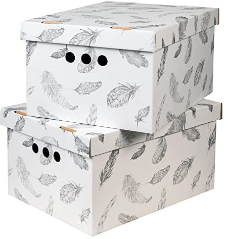SOFTILLO Cardboard Storage Boxes with Lid, Decorative Wardrobe, Closet, Home & Office Organiser with Handle, Flat-Packed, Stackable File Box, Gift for Adults & Kids, Set of 2, XLarge - Feathers
