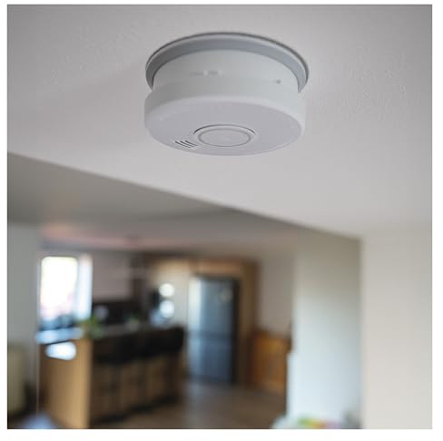 EMOS - Rauchmelder, Brandmelder, Feuermelder zur Decken- und Wandmontage - Fotoelektrischer Sensor, Akustische Signalisation 85 dB, optische LED Warnmeldung - 10 Jahre Lebensdauer - inkl. 9V Batterie