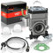 1PZ C15-T01 Kit de Carburador 15mm para Motor de Desbrozadora de 52 cc 49 cc 47cc 43 cc 2 Tiempos, con bombilla de imprimación, junta, Filtro Gasolina