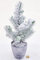 POWERS TO FLOWERS - ALBERO DI NATALE, PINETTO NATALIZIO, PINO CON NEVE IN VASO CERAMICA RUSTICO, PINUS PINEA, ALTEZZA 25CM, VASO 9CM diametro, piante vere
