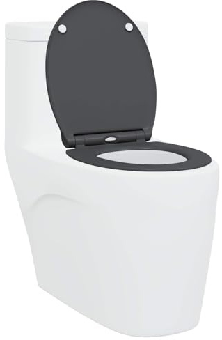 vidaXL Toilettensitz Anthrazit 45,5 x 37,5 x 3,8 cm Duroplast