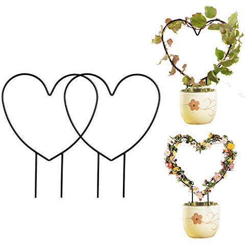 YHNJI 2Pcs Garden Trellis for Climbing Plants, Round& Heart-Shaped Plant Support Stake Metal Rustproof Garden Frame for Potted Plants Vines