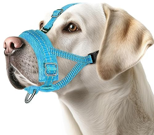 Eyein Maulkorb für Mittlere Hunde, Verstellbarer Reflektierender Nylon Maulkorb für Hunde mit Verbindungsgurt, Hunde können hecheln und Trinken, Verhindert das Beißen, Bellen und Kauen (Blau, M)