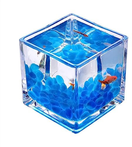 Aquarium carré en verre épais pour aquarium - Plateau de table transparent - Petit aquarium de combat écologique - Décoration d'aquarium en verre (S)