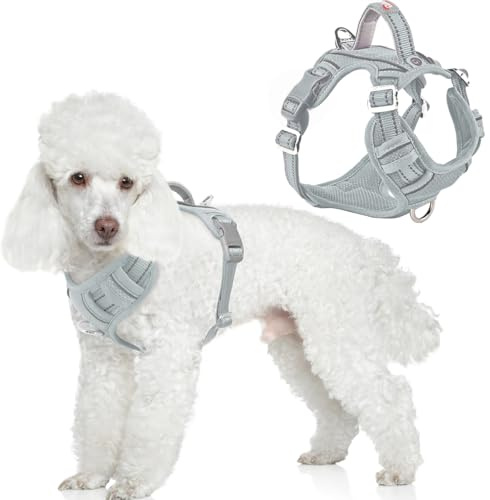 BARKBAY No Pull Dog Harness Front Clip Heavy Duty Reflective Easy Control Handle for Large Dog Walking with ID tag Pocket(Grey,S)
