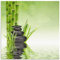 ARTland Wanddeko Wandbild Alu Verbundplatte für Innen & Outdoor Bild 40x40 cm Asien Zen Wellness Spa Wasser Bambus Steine Grün R2PR
