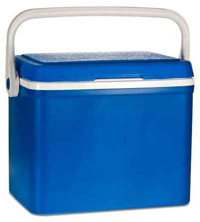 TIENDA EURASIA® Nevera Portátil con Asa - Material Super Resistente y de Gran Durabilidad - Disponible en Varios Tamaños - Ideal para Jardín, Campo, Playa (18 L - 42 x 27 x 30 cm)