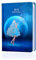 MEIYIFAN Hardcover Tagebücher, Blanko Notizbuch, Gebundene Ausgabe Schönes Tagebuch, 128 bunt illustrierten Seiten, Perfekt für das, Home, School, Schreiben und Notizen,13x19cm (Butterfly - Maiden)