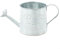 Arrosoir rétro en métal, pots de fleurs vintage en fer pour décoration de jardin (ancien)