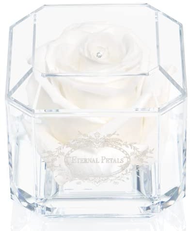 A 100% Real Rose That Lasts Years - Eternal Petals, Handmade in UK – White Gold Solo with A Clear Crystal (White)