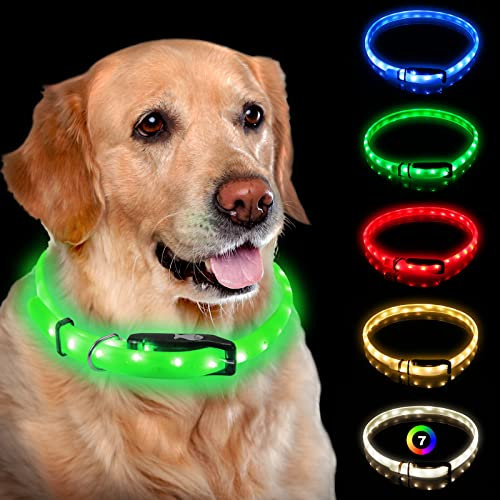 NOVKIN Beleuchtetes Hundehalsband, wiederaufladbar, 7 Farben, wechselnde Leuchte, wasserdichtes LED-Hundehalsband, leuchtet im Dunkeln, Macht das Haustier sichtbar, grün, S/M