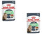 Royal Canin Digest Sensitive Nassfutter | Doppelpack | 2 x 12 x 85g | Alleinfuttermittel für ausgewachsene Katzen | Kann dabei helfen zur Reduzierung von Stuhlgeruch beizutragen
