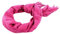 GUESS James Logo Scarf 70X180 Plum