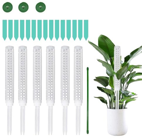 6pcs Tuteur Plante Grimpante,Tuteur Plante Monstera,Poteau Tuteur Plante en Pot,Poteau de Plante grimpante en Pot,Tuteur Monstera pour Maison Jardin de Support de Plante