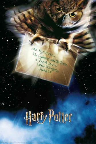 Close Up Harry Potter Poster | Letter From Hogwarts | Hedwig Motiv | Post aus Hogwarts Plakat | 61x91,5 cm