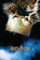 Close Up Harry Potter Poster | Letter From Hogwarts | Hedwig Motiv | Post aus Hogwarts Plakat | 61x91,5 cm