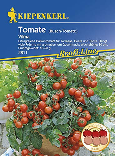 Kiepenkerl 2811 Tomate Vilma (Tomatensamen)