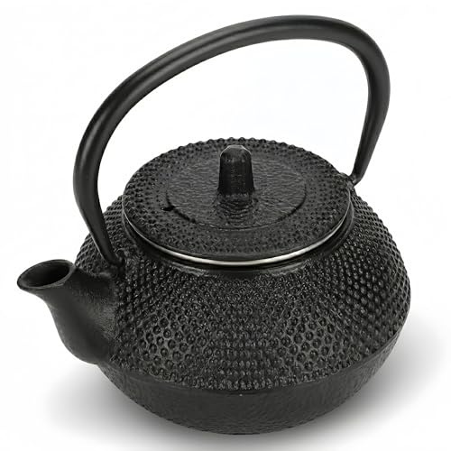 Tetera De Hierro Fundido Japonesa, Caldera Pequeña De 300ml, Diseño De Flores De Ciruelo, Pico De Gancho Recto con Filtro, Juego De Té Casero para Cocina Salón