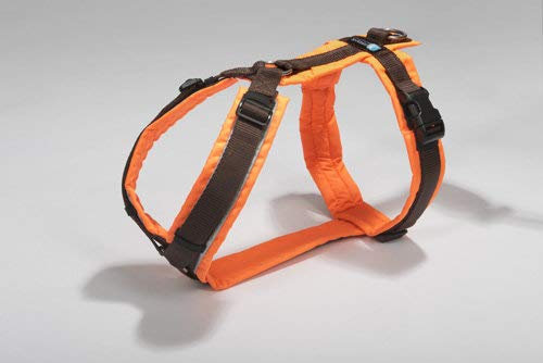 anny-x Brustgeschirr Protect Leuchtorange braun - Gr. L