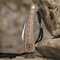 Coltello Funghi | Coltello TS per funghi | Coltello champignonon | Coltello setera | Acciaio inossidabile | Coltello Funghi Spazzola | Custodia Coltello Inclusa | Coltello Micologico Setera 18752