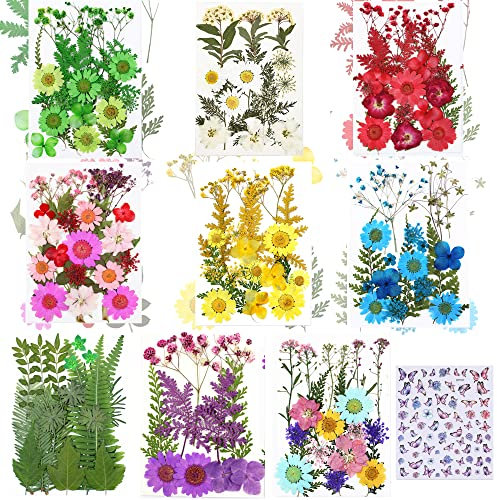 Cayway 8 Packung Getrocknete Blumen Natürliche Trockenblumen für Epoxidharz für Harz, Getrocknete Gepresste Blätter, Natürliche Trockene Blätter für DIY Harz Schmuck Nail Crafts Art Blumendekoration