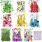 Cayway 8 Packung Getrocknete Blumen Natürliche Trockenblumen für Epoxidharz für Harz, Getrocknete Gepresste Blätter, Natürliche Trockene Blätter für DIY Harz Schmuck Nail Crafts Art Blumendekoration