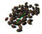 Portal Cool Aronia melanocarpa Chokeberry nero Semi di autentico da Polonia 600+ Seeds