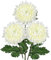 Arborus 3 Stück Künstliche Chrysanthemen Strauß Künstliche Zweige mit Blüten Kunstblume Weiß Blumenstrauß Künstlich wie Echt Vase Deko auf Tisch Regal Fensterbank im Wohnzimmer Schlafzimmer Badezimmer