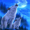 Yingxin34 Puzzle 5000 Teile Mond und Zwei weiße Wölfe，5000 Stück Spiel Puzzles für Erwachsene Kinder, Geschicklichkeitsspiel für die Ganze Familie, Bunte-61.61x41.53 Zoll (156.5 x 105.5cm)