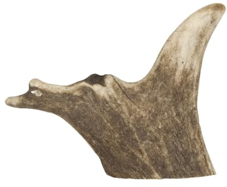 Fallow Antler Medium Dog Chew – Natural, durable, odourless chew toy for medium dogs. Sustainably sourced, hypoallergenic, long-lasting, promotes dental health, safe for aggressive chewers.