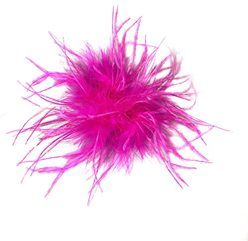 Feder Brosche für Frauen Mädchen,Mode Vintage Natürliche Flauschige Straußenfeder Brosche Braut Hochzeit Party Weihnachten Kleid Up Corsage Pin Hut Zubehör für Anzug Hüte zum Hochzeit Bankett Party