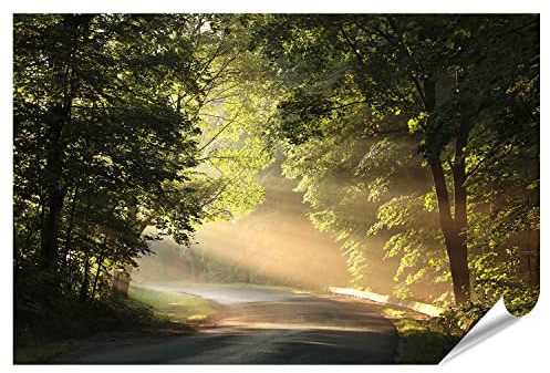 islandburner XXL Bild Poster Landstraße Frühling Wald Sonnenaufgang Land Laubbaum Neblig Sonnigen Morgen Aufg Premium Bilder Fotodruck HROX-PGR
