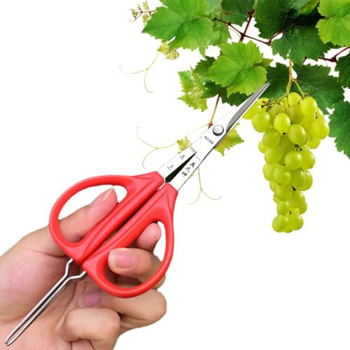Traubenschere Aus Edelstahl Gartenschere Zimmerpflanzen Schere Grasschere Mit Ergonomischer Griff Geflügelschere Robuste Schere Und Pinzette Für Garten, Obst Und Weintrauben
